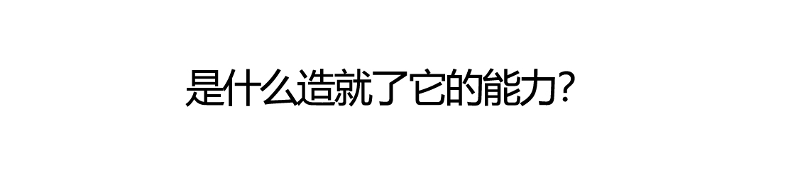 能力标题 拷贝.jpg